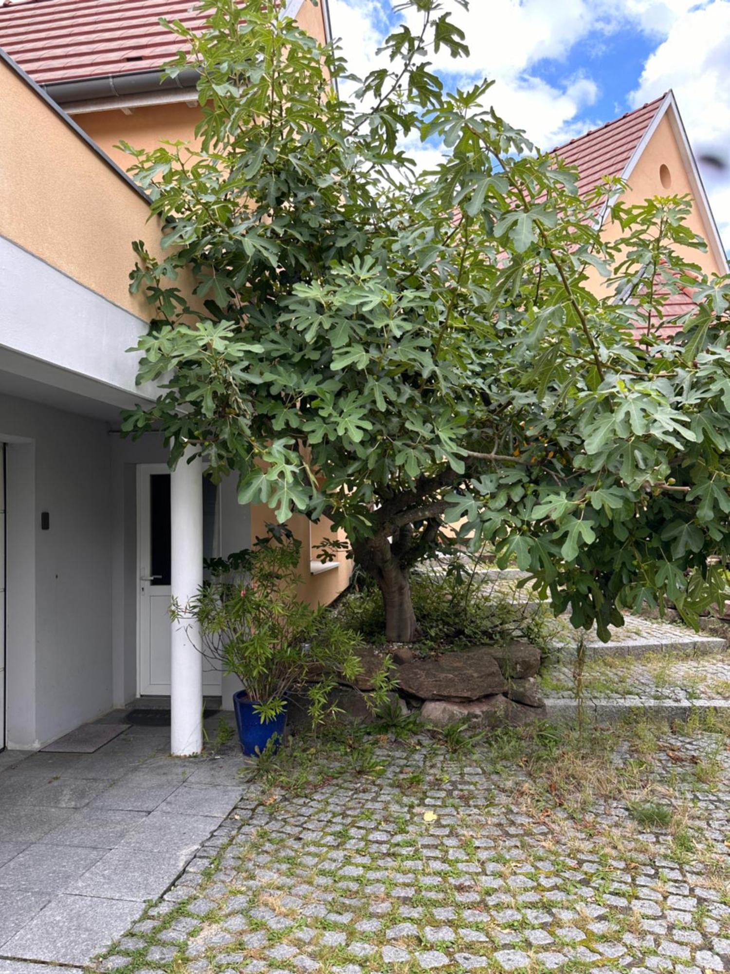 Chambre Privative Au Rez De Jardin Dans Villa La Wantzenau Exterior photo